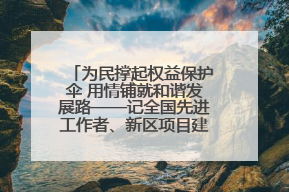 为民撑起权益保护伞 用情铺就和谐发展路——记全国先进工作者、新区项目建设中心干部卢小勇