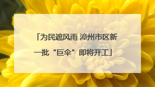 为民遮风雨 漳州市区新一批“巨伞”即将开工
