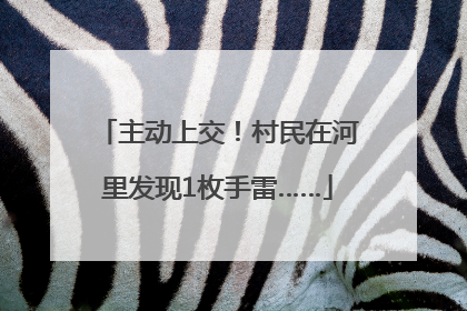 主动上交！村民在河里发现1枚手雷……