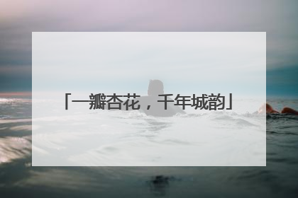 一瓣杏花，千年城韵