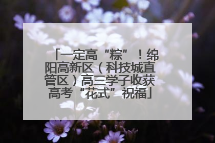一定高“粽”！绵阳高新区（科技城直管区）高三学子收获高考“花式”祝福