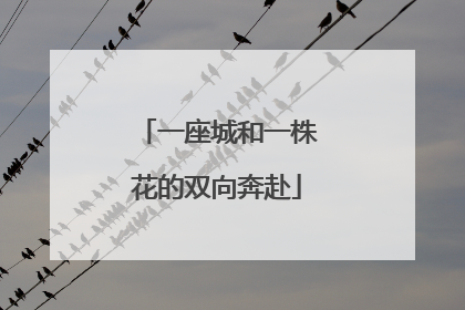 一座城和一株花的双向奔赴