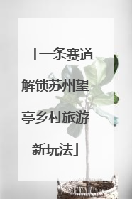 一条赛道解锁苏州望亭乡村旅游新玩法