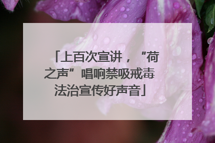 上百次宣讲，“荷之声”唱响禁吸戒毒法治宣传好声音