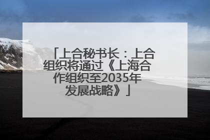 上合秘书长：上合组织将通过《上海合作组织至2035年发展战略》