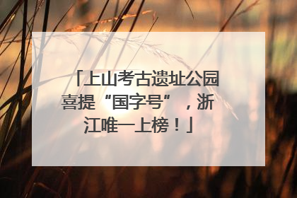 上山考古遗址公园喜提“国字号”，浙江唯一上榜！