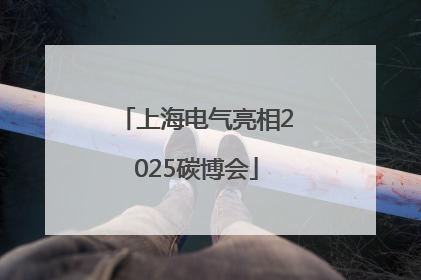 上海电气亮相2025碳博会