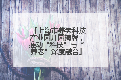 上海市养老科技产业园开园揭牌，推动“科技”与“养老”深度融合