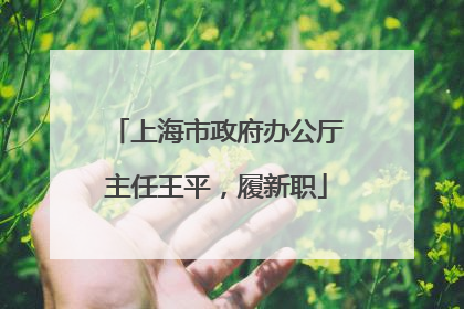 上海市政府办公厅主任王平，履新职