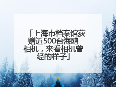 上海市档案馆获赠近500台海鸥相机，来看相机曾经的样子