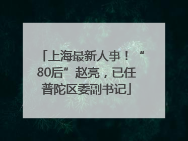 上海最新人事！“80后”赵亮，已任普陀区委副书记