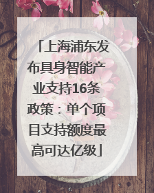 上海浦东发布具身智能产业支持16条政策：单个项目支持额度最高可达亿级