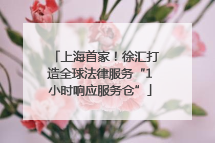 上海首家！徐汇打造全球法律服务“1小时响应服务仓”