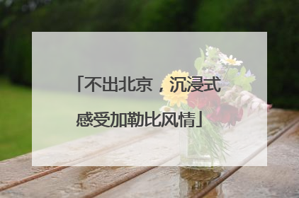 不出北京，沉浸式感受加勒比风情