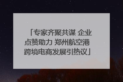 专家齐聚共谋 企业点赞助力 郑州航空港跨境电商发展引热议