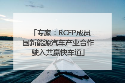 专家：RCEP成员国新能源汽车产业合作驶入共赢快车道