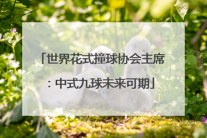 世界花式撞球协会主席：中式九球未来可期