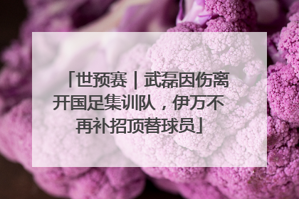 世预赛｜武磊因伤离开国足集训队，伊万不再补招顶替球员