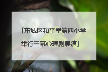 东城区和平里第四小学举行三幕心理剧展演
