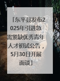 东平县发布2025年引进急需紧缺优秀青年人才初试公告，5月30日开展面谈