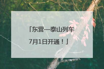 东营—泰山列车7月1日开通！
