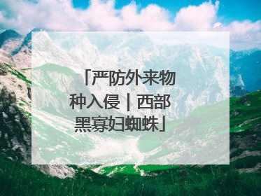 严防外来物种入侵｜西部黑寡妇蜘蛛