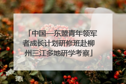 中国—东盟青年领军者成长计划研修班赴柳州三江多地研学考察