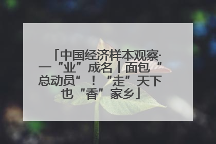 中国经济样本观察·一“业”成名丨面包“总动员”！“走”天下也“香”家乡