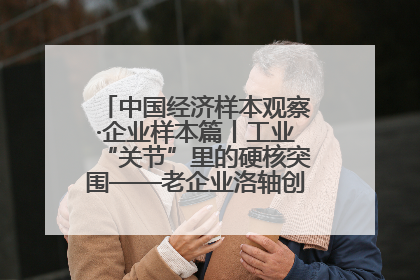 中国经济样本观察·企业样本篇丨工业“关节”里的硬核突围——老企业洛轴创新蝶变启示录