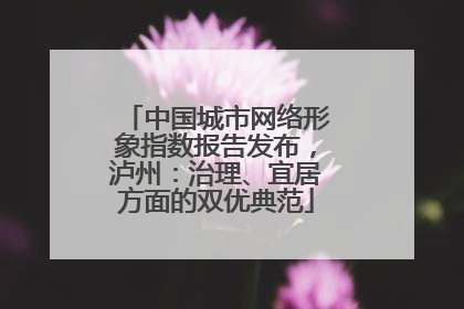 中国城市网络形象指数报告发布，泸州：治理、宜居方面的双优典范