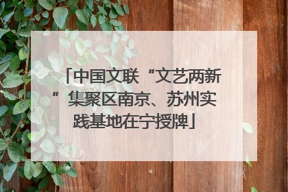 中国文联“文艺两新”集聚区南京、苏州实践基地在宁授牌