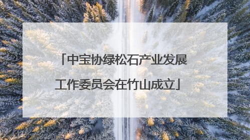 中宝协绿松石产业发展工作委员会在竹山成立