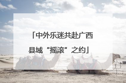中外乐迷共赴广西县域“摇滚”之约