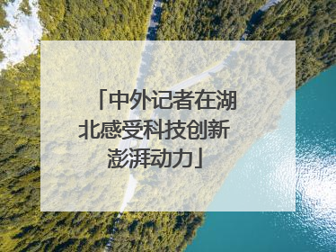 中外记者在湖北感受科技创新澎湃动力