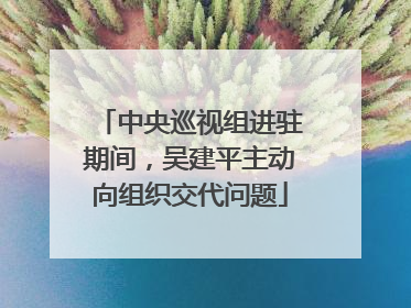 中央巡视组进驻期间，吴建平主动向组织交代问题