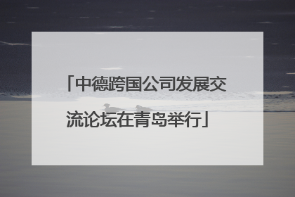 中德跨国公司发展交流论坛在青岛举行