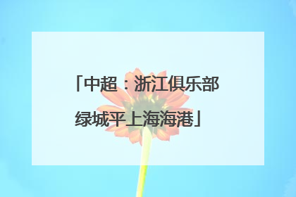 中超：浙江俱乐部绿城平上海海港