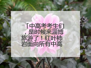 中高考考生们，是时候来淄博旅游了！红叶柿岩面向所有中高考考生免门票