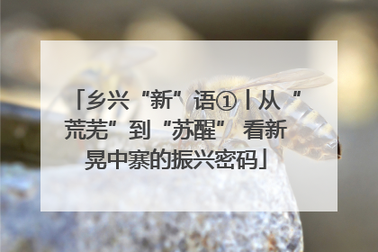 乡兴“新”语①丨从“荒芜”到“苏醒” 看新晃中寨的振兴密码