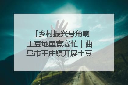 乡村振兴号角响 土豆地里竞赛忙｜曲阜市王庄镇开展土豆收获劳动竞赛