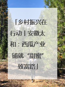 乡村振兴在行动丨安徽太和：西瓜产业铺就“甜蜜”致富路
