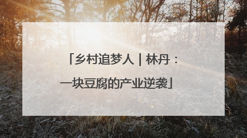 乡村追梦人｜林丹：一块豆腐的产业逆袭
