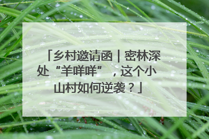 乡村邀请函｜密林深处“羊咩咩”，这个小山村如何逆袭？