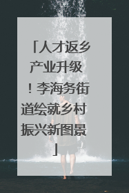 人才返乡 产业升级！李海务街道绘就乡村振兴新图景