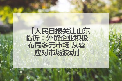 人民日报关注山东临沂：外贸企业积极布局多元市场 从容应对市场波动