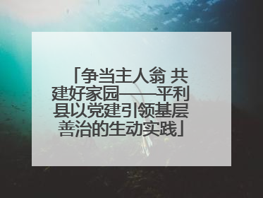 争当主人翁 共建好家园——平利县以党建引领基层善治的生动实践