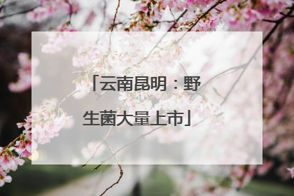 云南昆明：野生菌大量上市