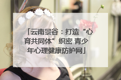 云南景谷：打造“心育共同体”织密 青少年心理健康防护网