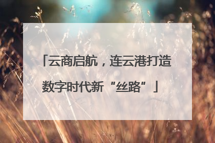 云商启航，连云港打造数字时代新“丝路”