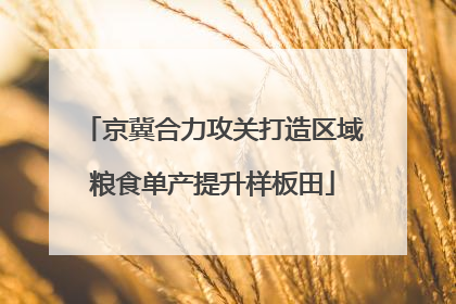 京冀合力攻关打造区域粮食单产提升样板田